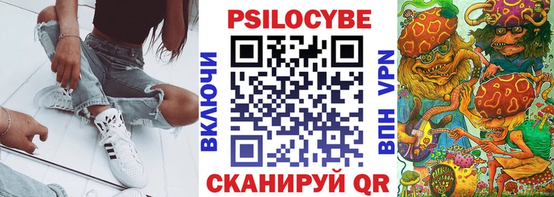 Купить  Брянск  Псилоцибиновые грибы Psilocybine cubensis 